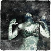 Lindsay D'arcy - List pictures