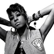 Shystie - List pictures