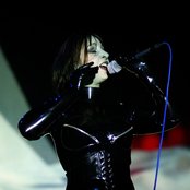 Die Form - List pictures