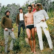 Love - List pictures