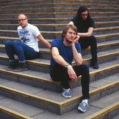 Dinosaur Pile-up - List pictures