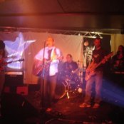 The Amber Herd - List pictures