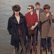 Echo & The Bunnymen - List pictures