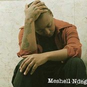 Me'shell Ndegéocello - List pictures