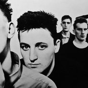 Close Lobsters - List pictures