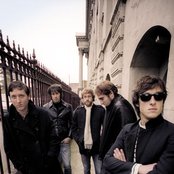 The Panics - List pictures