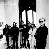 Velvet Underground - List pictures