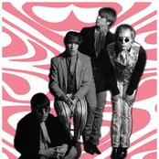 Plasticland - List pictures