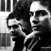 Mor Ve Ötesi - List pictures
