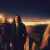 Cormorant - List pictures