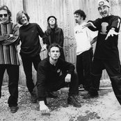 Bliss - List pictures