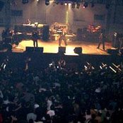 Kraken - List pictures