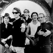 Cop Shoot Cop - List pictures