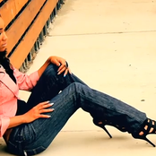 Dondria - List pictures