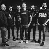 Krokodil - List pictures