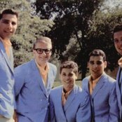 The Tokens - List pictures