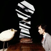 Andrew Bird - List pictures