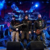 Raubtier - List pictures