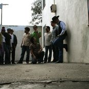 Orgone - List pictures