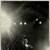 Emily Haines - List pictures