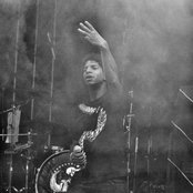 The Qemists - List pictures