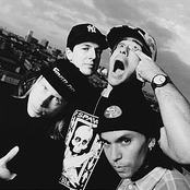 Limbomaniacs - List pictures