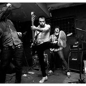 Fokofpolisiekar - List pictures