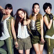 Diva - List pictures