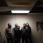 Foxing - List pictures