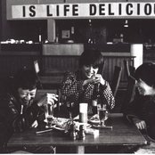 The Pillows - List pictures