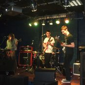 Tigercats - List pictures