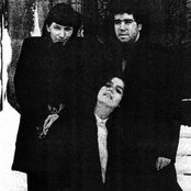 Area - List pictures