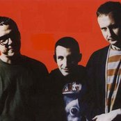 Sugar - List pictures