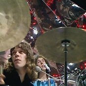 Rare Bird - List pictures