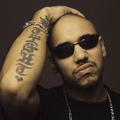 B-tight - List pictures