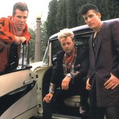 Stray Cats - List pictures