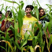 With Wings Of Lead - List pictures