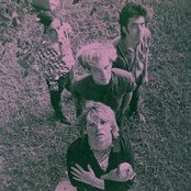 The Gun Club - List pictures