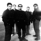 Los Lobos - List pictures