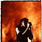 Kidneythieves - List pictures