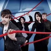 Guillemots - List pictures