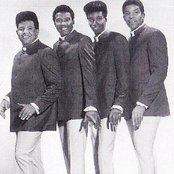 The Dynamics - List pictures