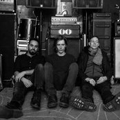 Odonis Odonis - List pictures