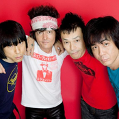 The Cro-magnons - List pictures