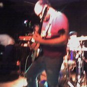 Apples In Stereo - List pictures