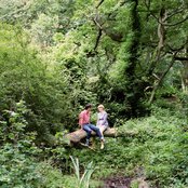 Slow Club - List pictures