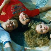 Dollyrots - List pictures