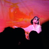 Jaya The Cat - List pictures