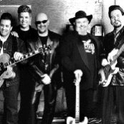 Fabulous Thunderbirds - List pictures