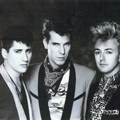 Stray Cats - List pictures